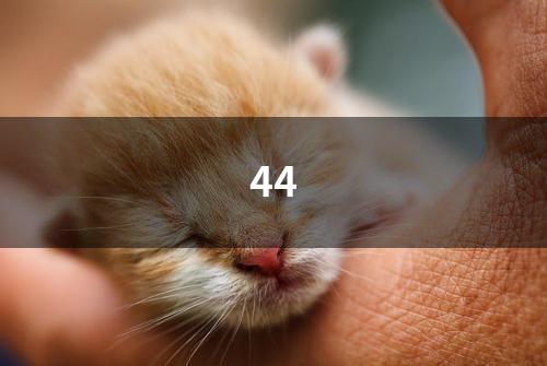 44